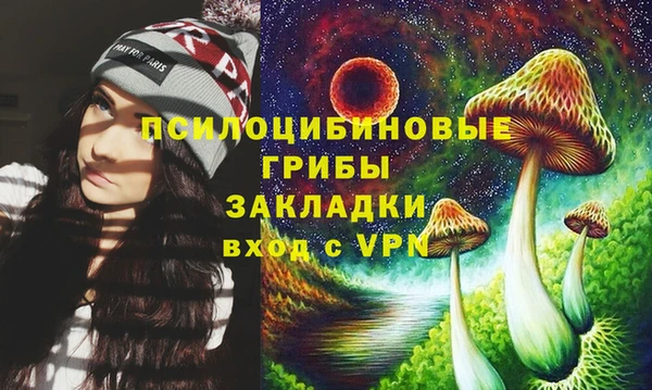 соль ск Аркадак
