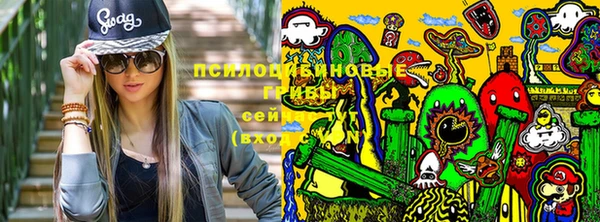 соль ск Аркадак
